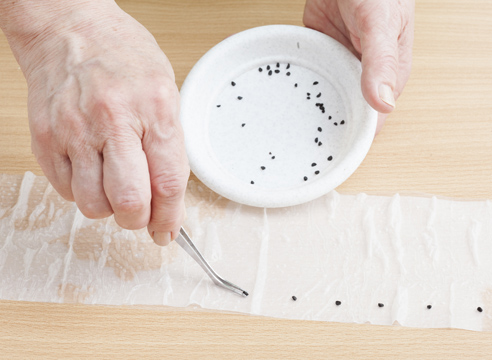 ��� �� ������ �������  ������� ������ � ������