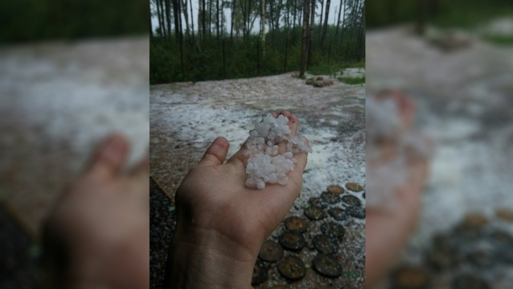 Жители Ленобласти делятся фотографиями крупного града