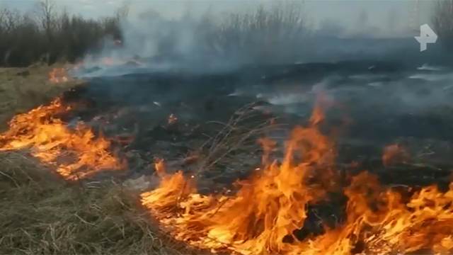 В Курганской области из-за лесных пожаров сгорело 14 домов