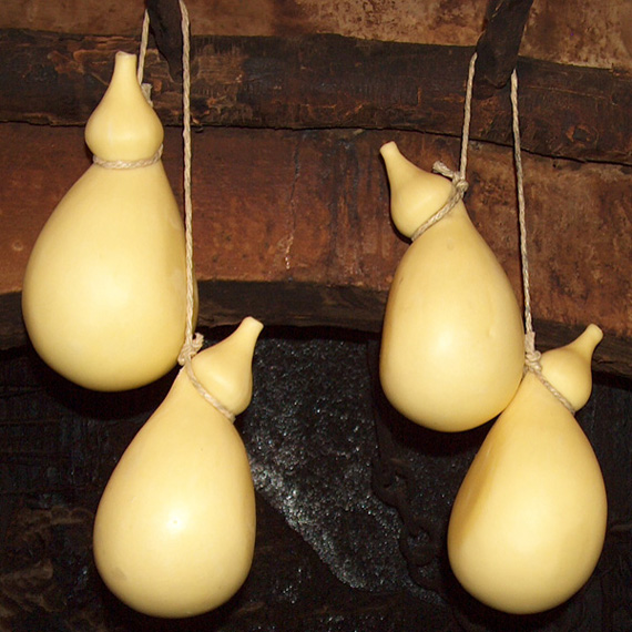 1_caciocavallo