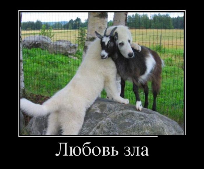 Демотиваторы - 936 Демотиваторы - 936