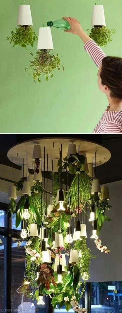 Кто так пробовал? Растения вверх корнями. Дачное pinterest, дача, помидор, вверх ногами, длиннопост