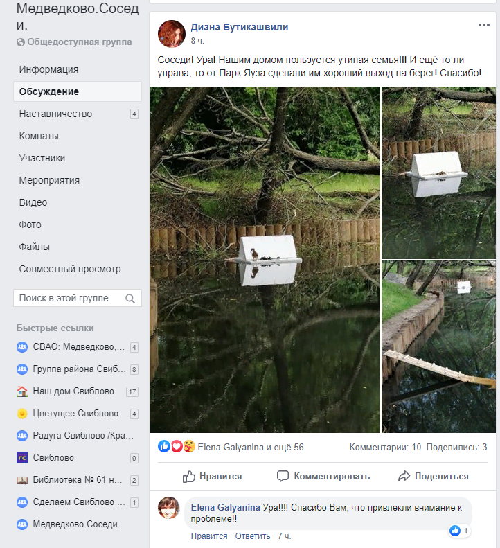 Утят спасли на пруду в Южном Медведкове