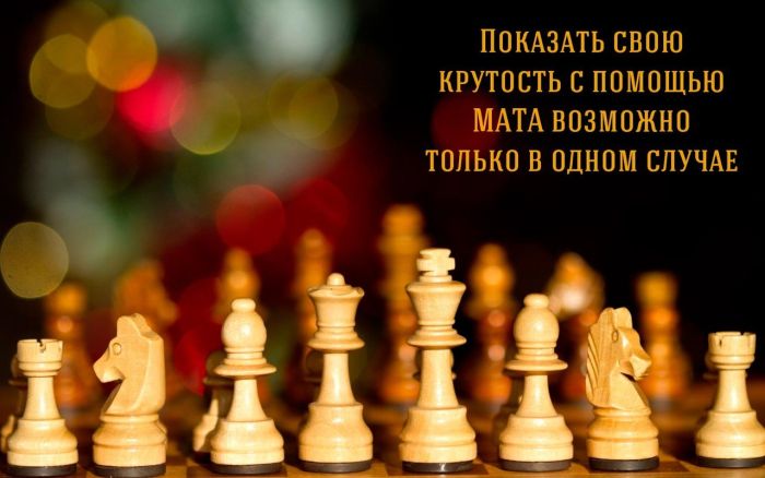 Позитивные фото и смешные картинки с надписью (11 фото) Позитивные фото и смешные картинки с надписью (11 фото)