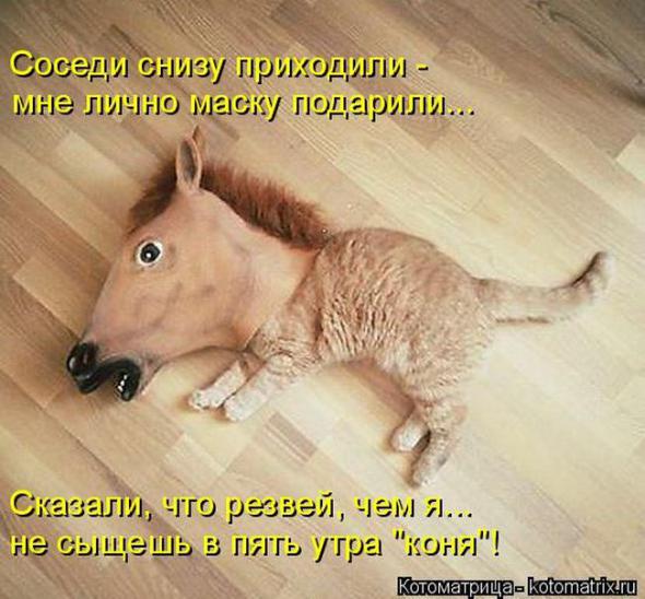 �����������(�������� � ���������)