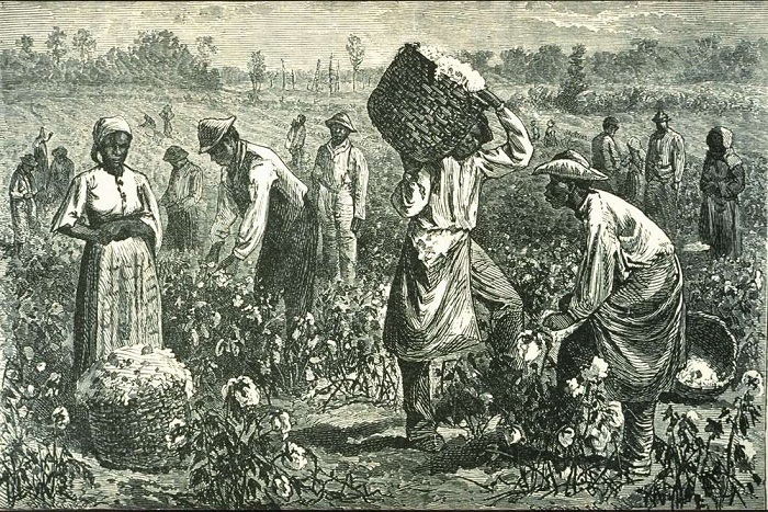 Рабы на сборе хлопка (Юг США, 1873 год) Рабы на сборе хлопка (Юг США, 1873 год)