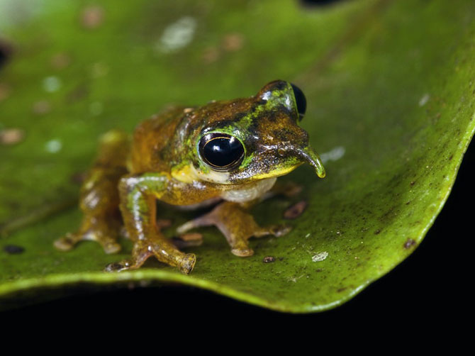 Лучшие фотографии мая 2012 от National Geographic