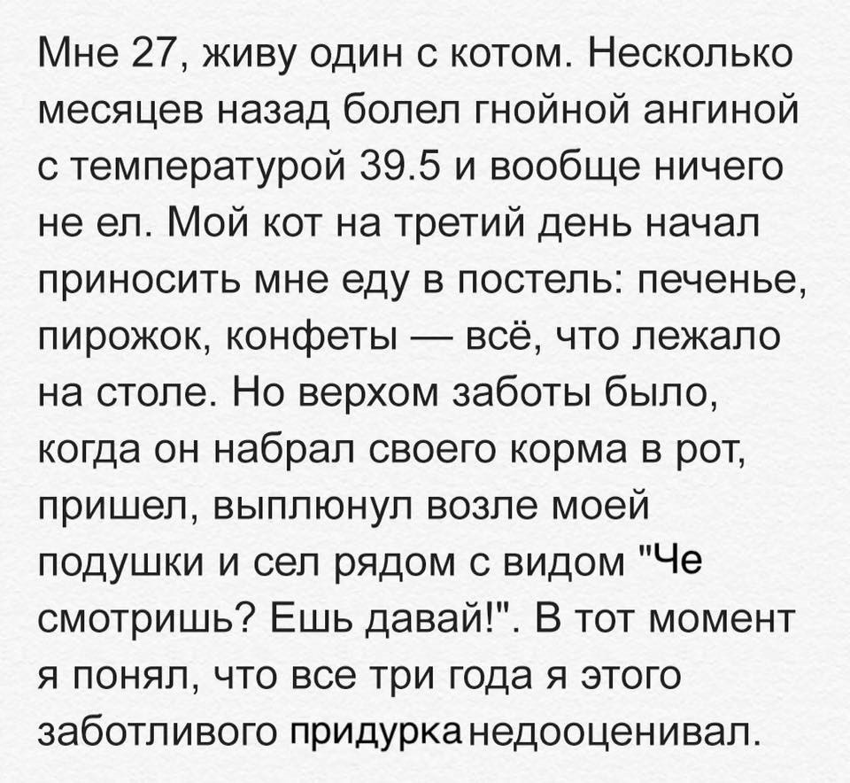 Очередная подборка из 15 жизненных историй с просторов интернета от обычных пользователей сети… Очередная подборка из 15 жизненных историй с просторов интернета от обычных пользователей сети…