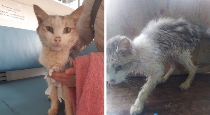 2. Регулярная физическая активность