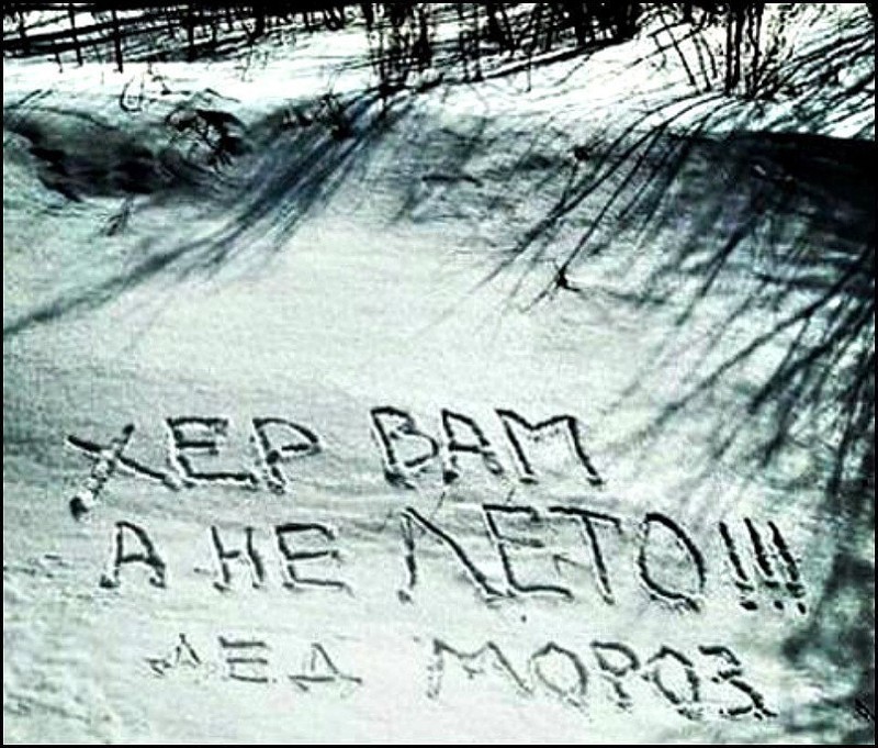 Ну просто угарные картинки для того, что бы посмеяться Ну просто угарные картинки для того, что бы посмеяться