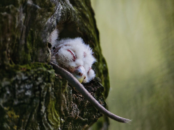 Лучшие фотографии мая 2012 от National Geographic