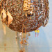 Decorative earring stand ,Glass and copper wire , up cycled found objects