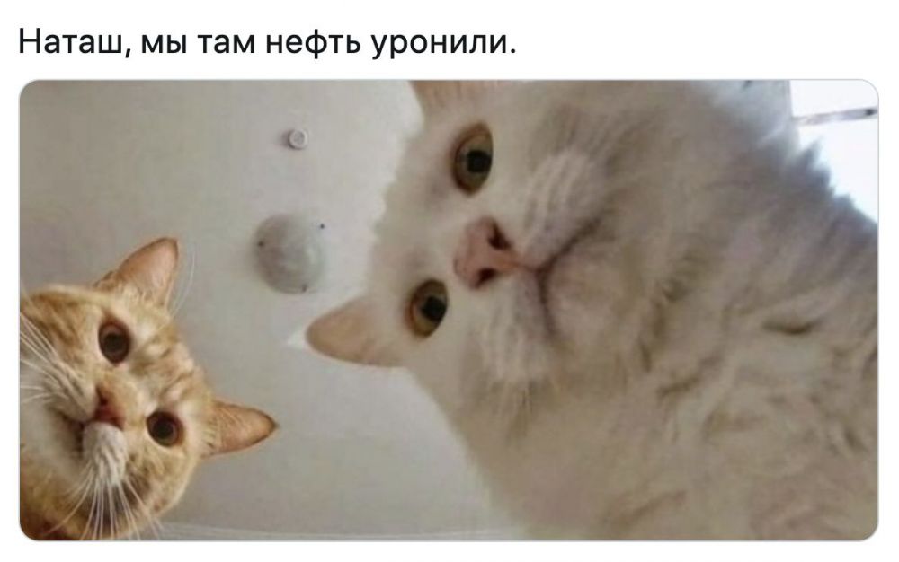 10 шуток про падение нефти