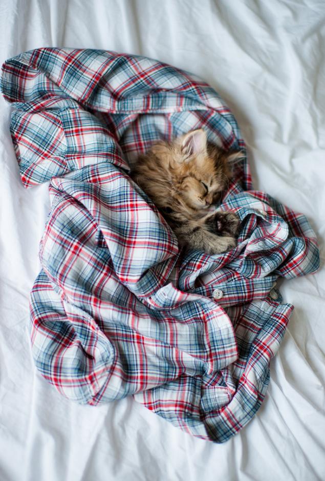 Если у вас дома завелся маленький шалун, срочно хватайте фотоаппарат... Если у вас дома завелся маленький шалун, срочно хватайте фотоаппарат...