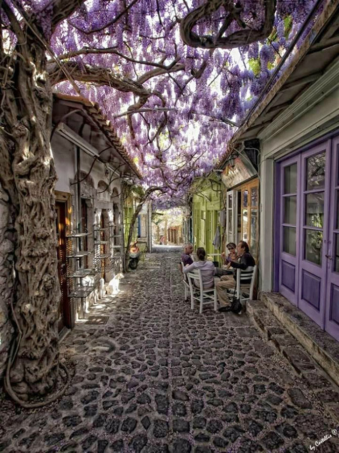 Удивительные фотографии со всего света