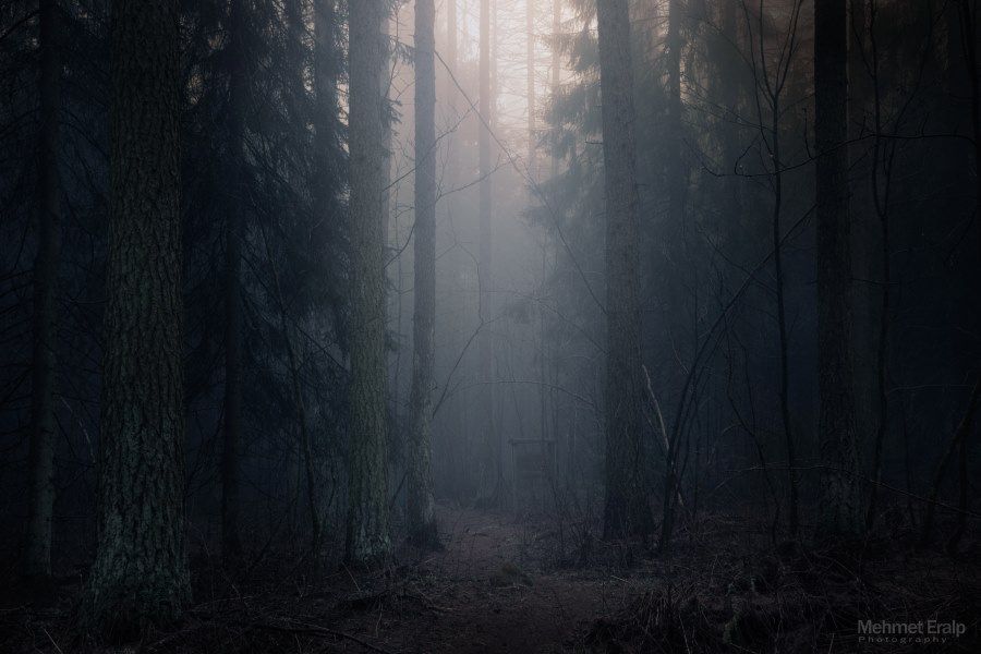 ФОТОВЫСТАВКА. Пейзажи Mehmet Eralp ФОТОВЫСТАВКА. Пейзажи Mehmet Eralp