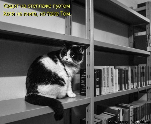 Самые свежие котоматрицы )) Самые свежие котоматрицы ))