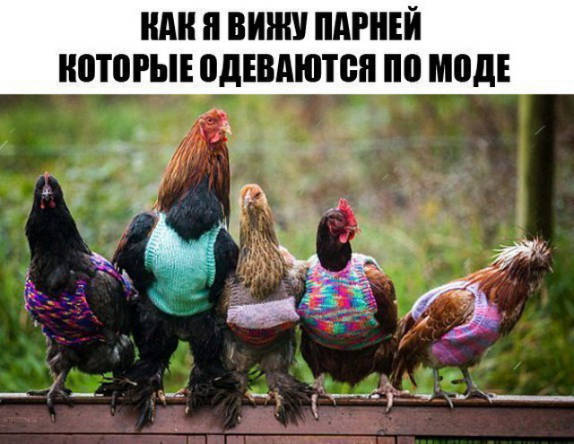 У одинокого оптимиста кровать наполовину полная) У одинокого оптимиста кровать наполовину полная)
