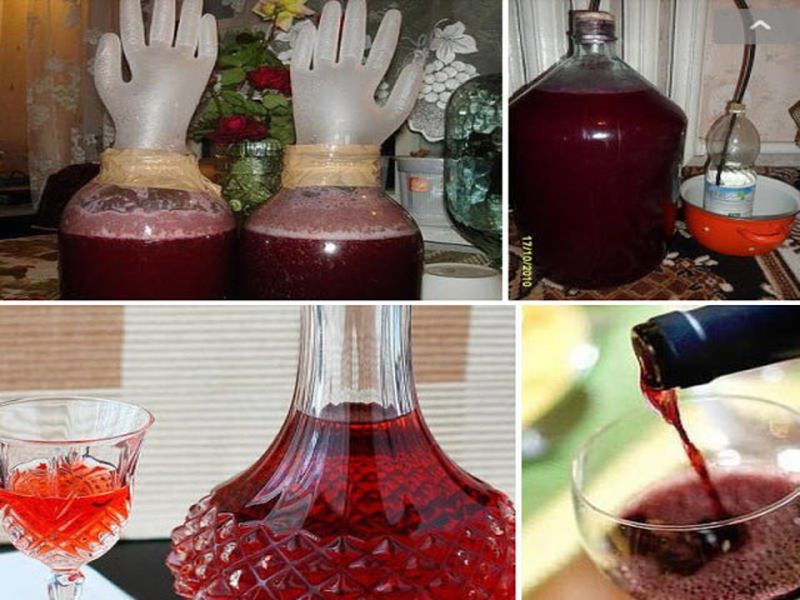 Как приготовить виноградное вино домашних условиях Как приготовить виноградное вино домашних условиях