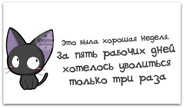   ... )