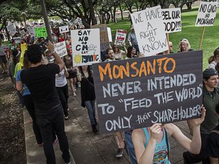 Monsanto: ГМО и контроль над численностью населения