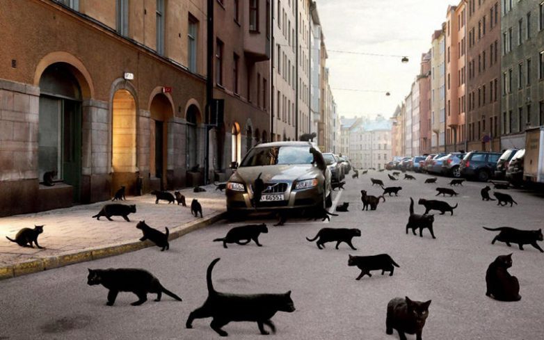 7 самых странных примет, в которые мы верим