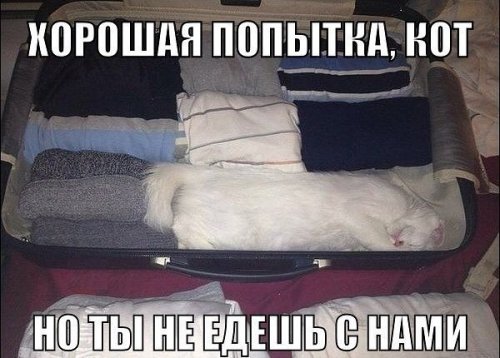 Смешные анекдоты в среду (10 шт) Смешные анекдоты в среду (10 шт)