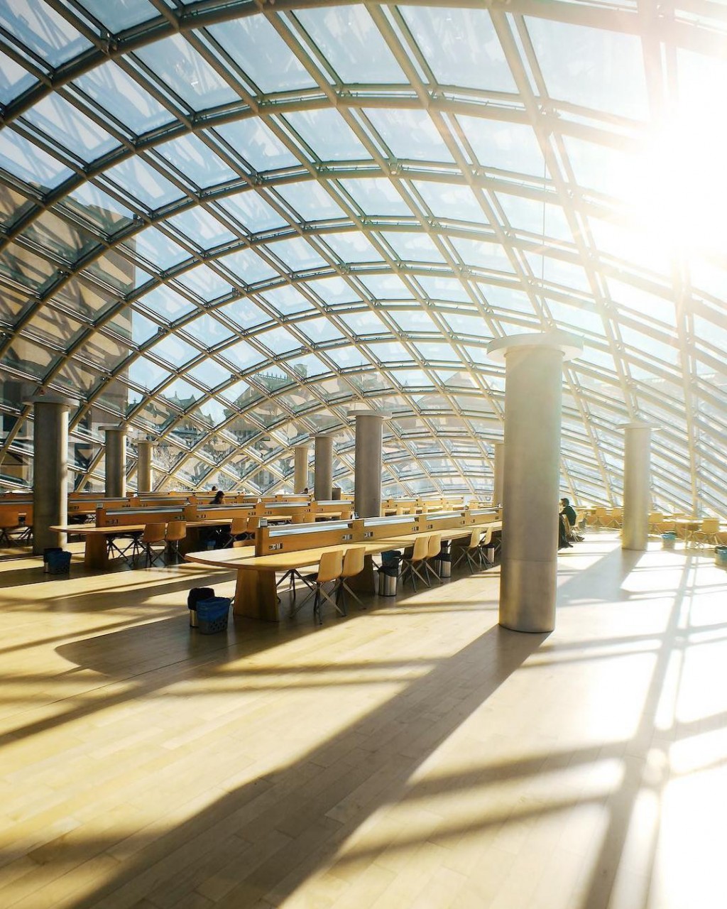 Joe and Rika Mansueto Library