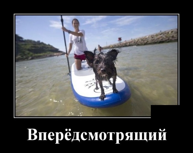 Демотиваторы Демотиваторы