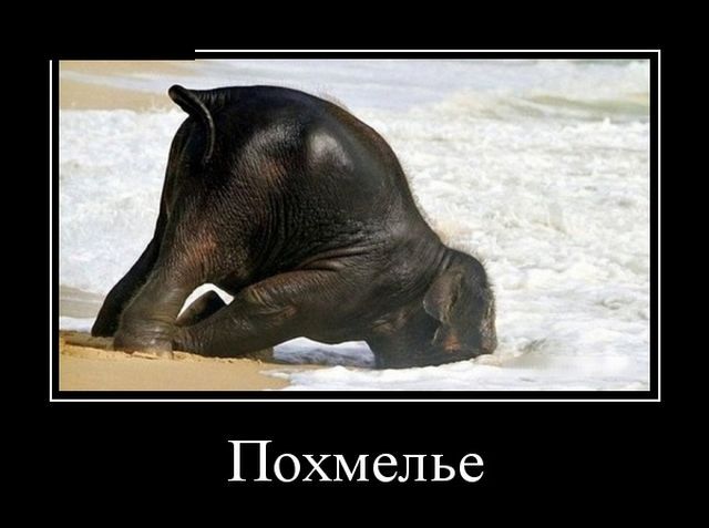 Вот это позитивчик!!! Заходи развеяться! Вот это позитивчик!!! Заходи развеяться!