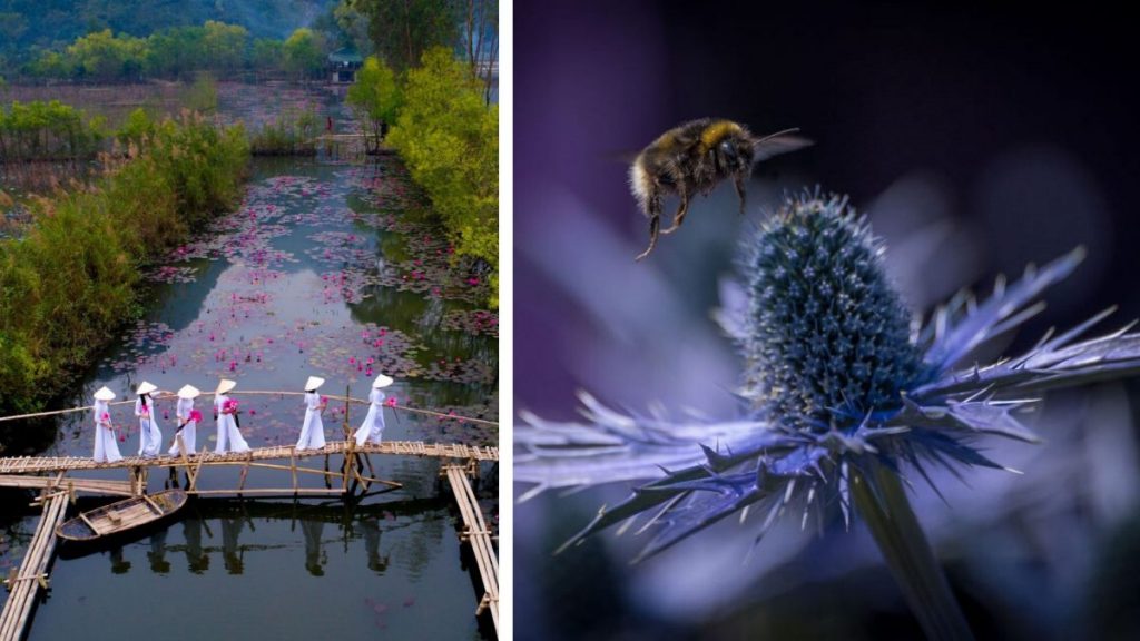 Весна красна: лучшие снимки фотоконкурса Spring 2020