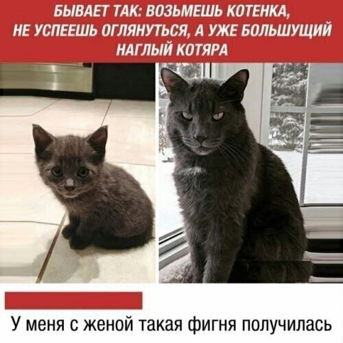 Любовь и отношения в картинках и высказываниях Любовь и отношения в картинках и высказываниях
(20 фото)