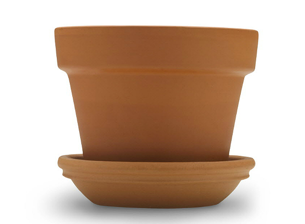 flower pot flower pot