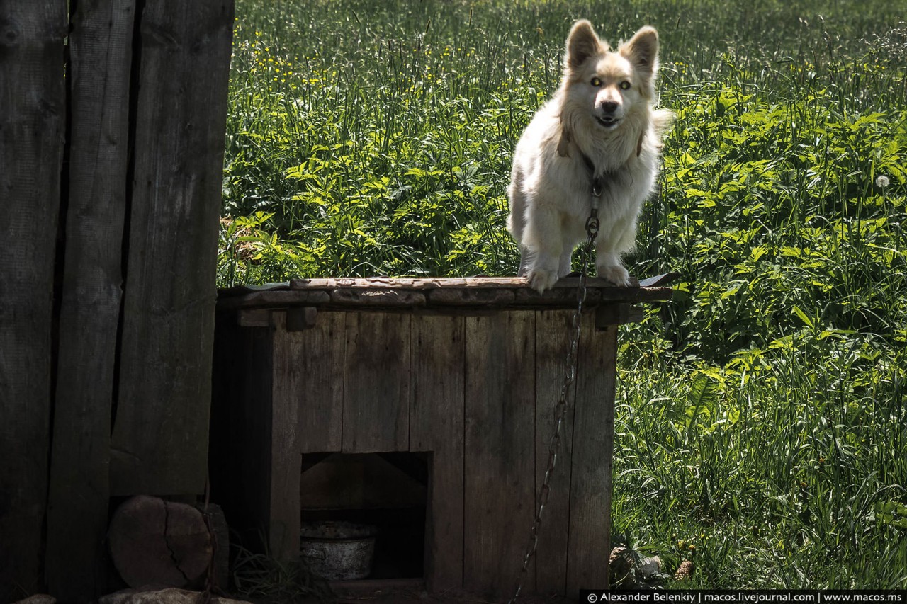 Россия, которую мы потеряли