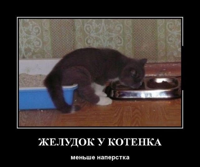 Веселые и прикольные демотиваторы из жизни (11 фото) Веселые и прикольные демотиваторы из жизни (11 фото)