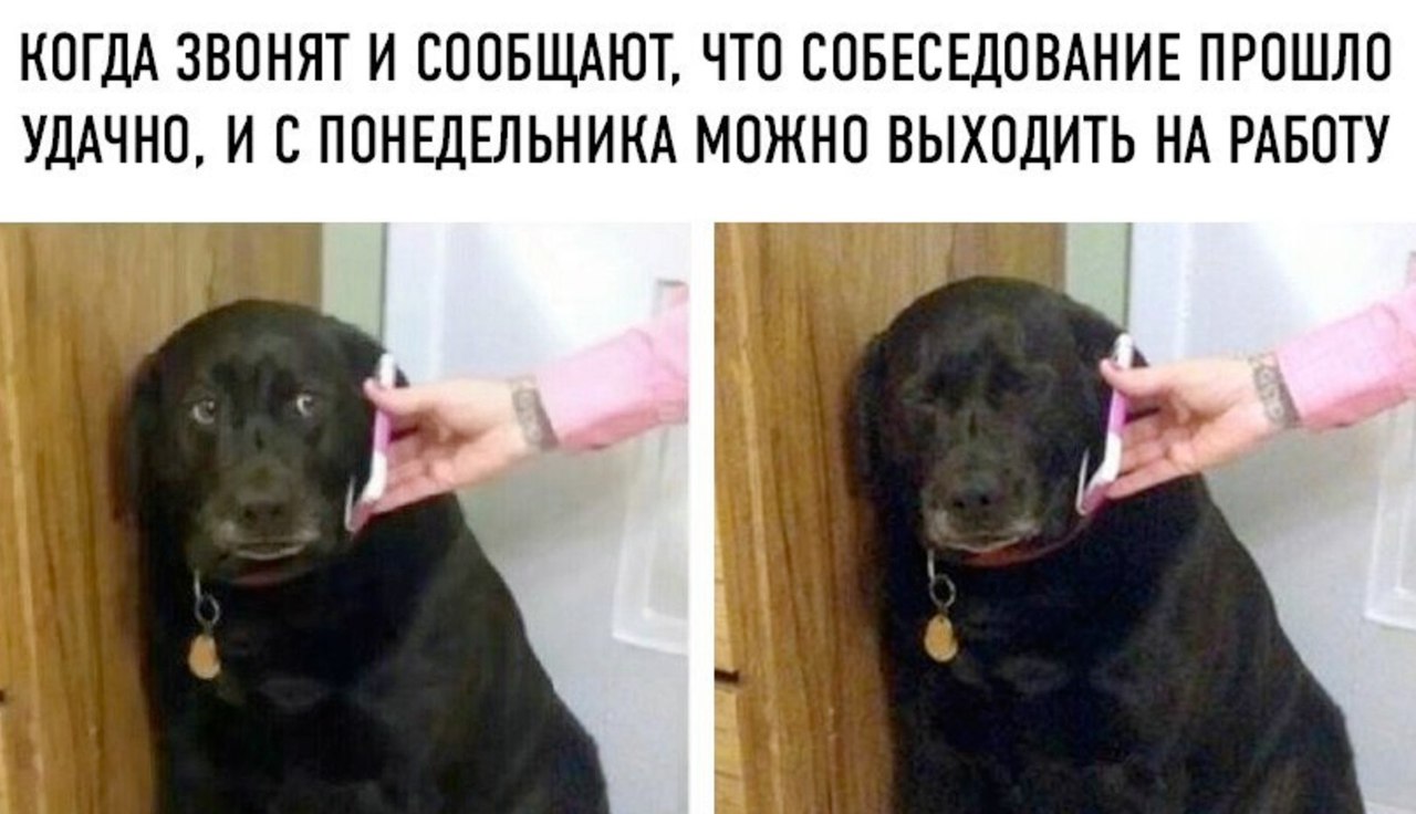 Веселые картинки с надписями для настроения (11 фото) Веселые картинки с надписями для настроения (11 фото)