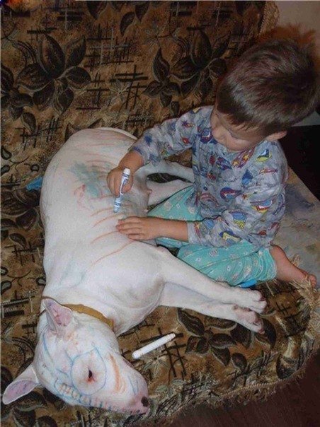 Больше, чем просто фотография. Часть 5