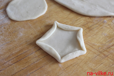 Заготовка из теста для пельменя