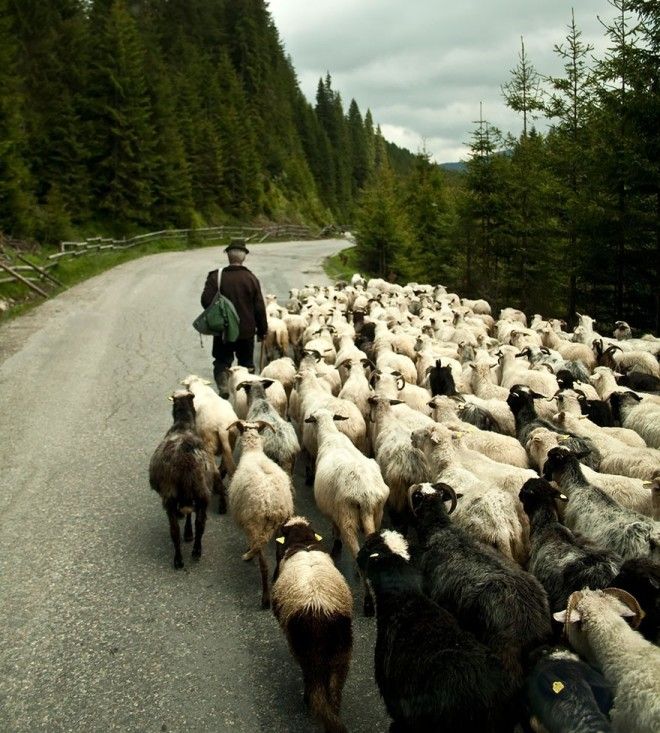 Не Дракулой единым 50 причин посетить Румынию