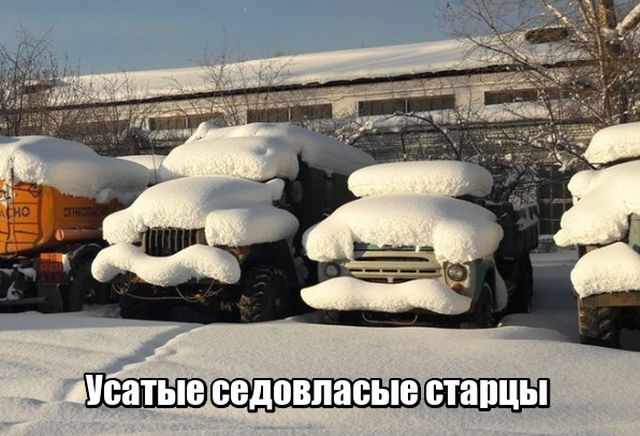 Подборка картинок Подборка картинок