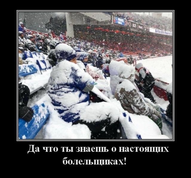 Демотиваторы Демотиваторы