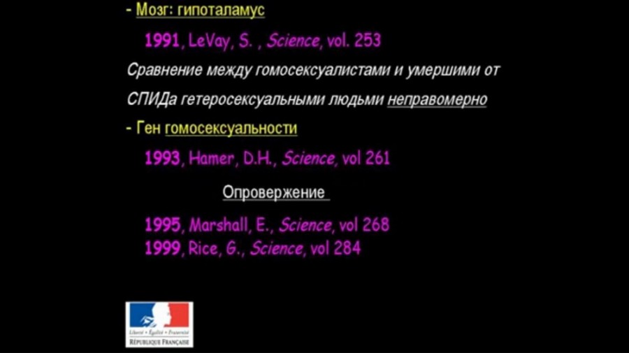 виндаль7-2 Как устроен мозг
