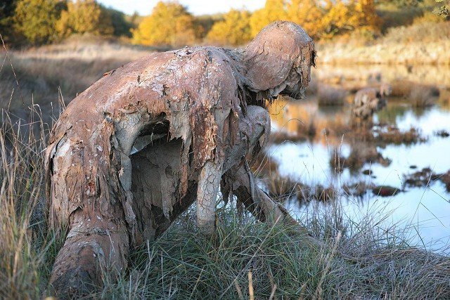 Когда искусство с успехом заменит слабительное Sophie Prestigiacomo, Séné Marsh, дизайн, искусство, ленд-арт