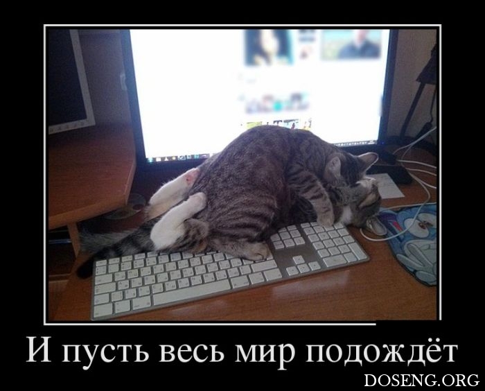 Демотиваторы Демотиваторы