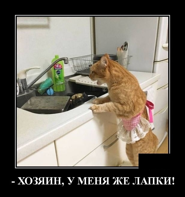 Демотиваторы Демотиваторы