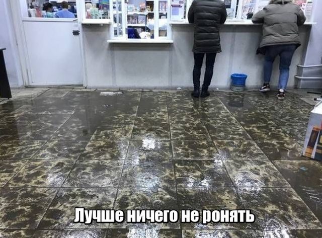 Подборка картинок Подборка картинок
