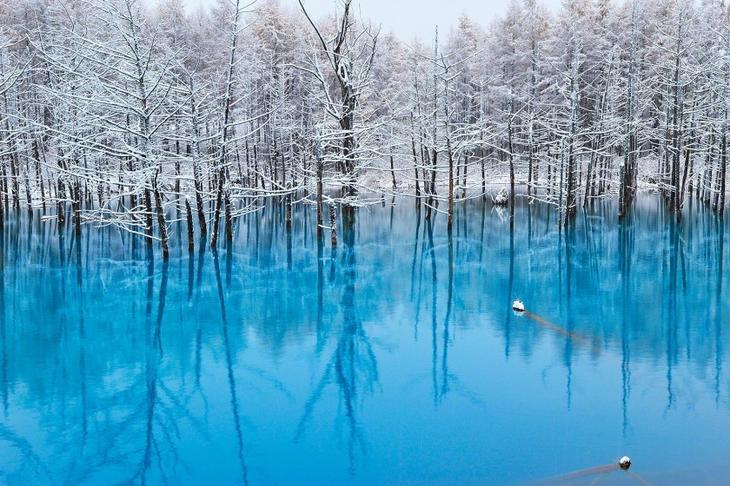 Фотографии и иллюстрации во всех оттенках синего цвета