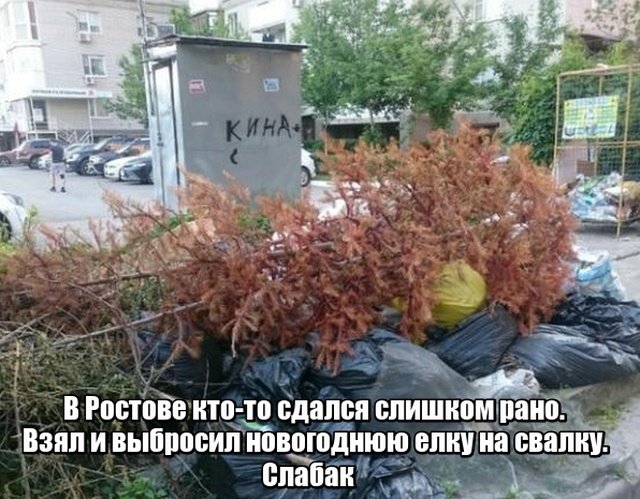 Прикольные картинки абавсём:D Прикольные картинки абавсём:D