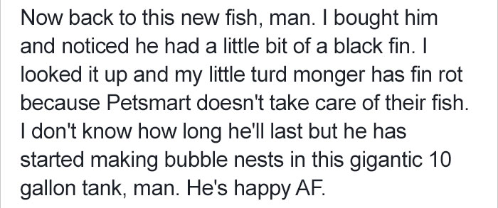 betta-fish-story-petsmart-13