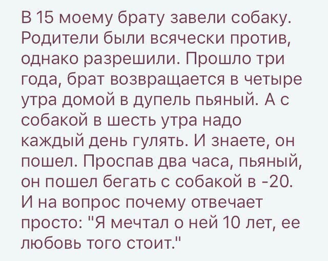 Смешные комментарии из социальных сетей-38 фото- Смешные комментарии из социальных сетей-38 фото-